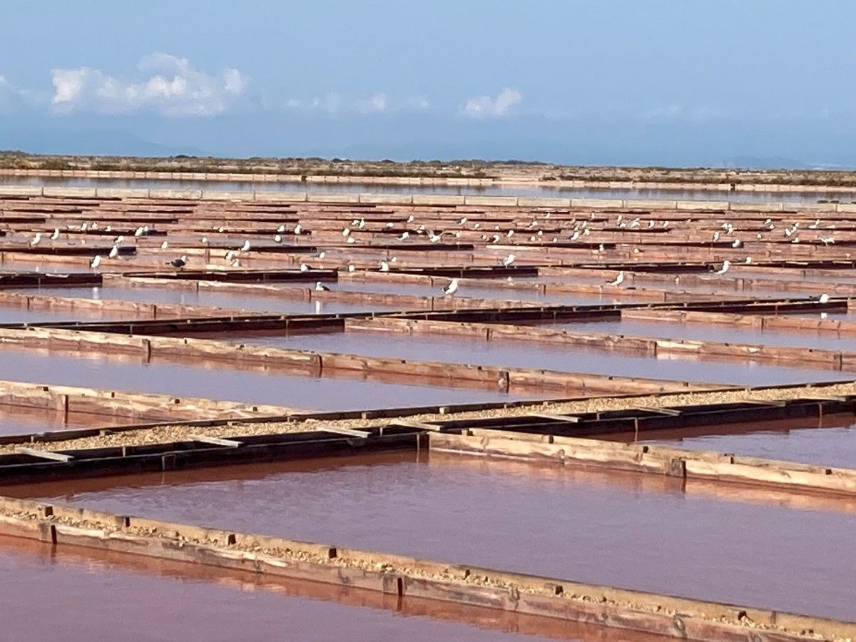 Pla general de les Salines de la Trinitat 