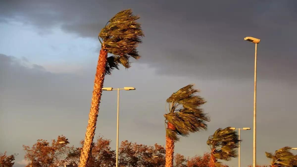 El vent serà el protagonista del temps este cap de setmana.