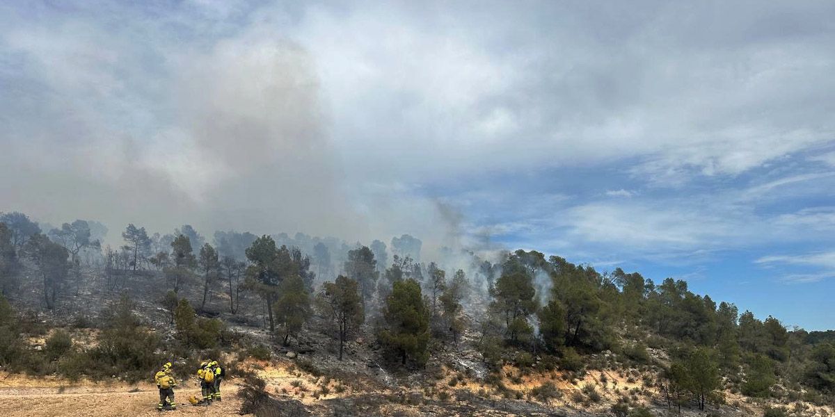 Els Bombers treballant en l'incendi de vegetació de Batea, a la Terra Alta   Data de publicació: dissabte 11 de maig del 2024, 16:25  Localització: Batea  Autor: Bombers de la Generalitat