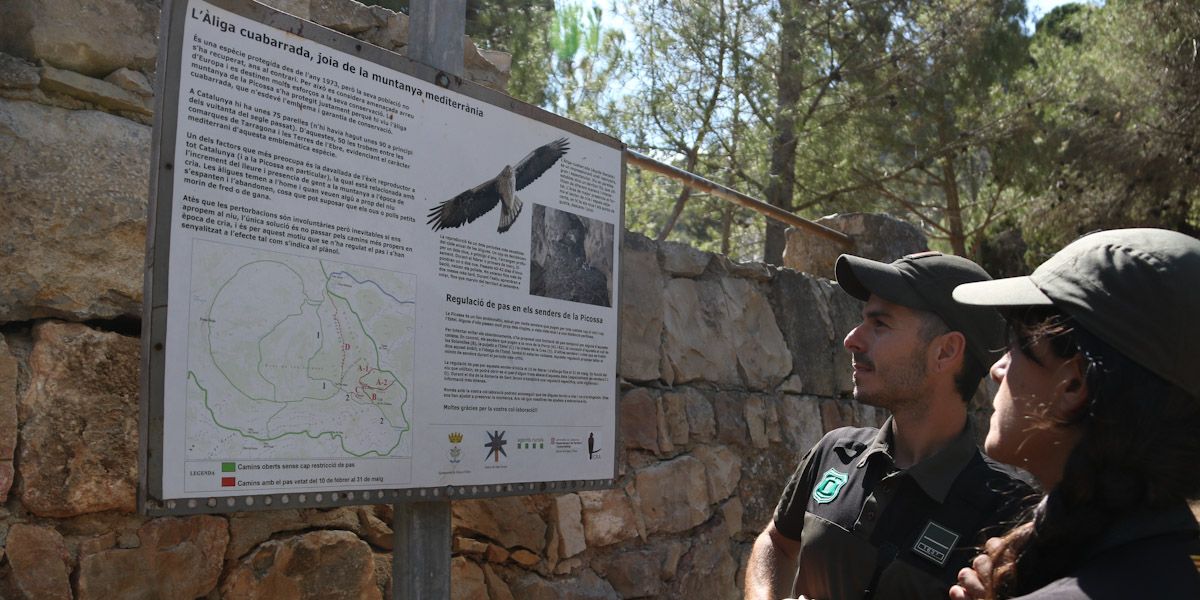 Dos agents rurals observen un cartell informatiu sobre l'àliga cuabarrada a l'ermita de Sant Jeroni, a Móra d'Ebre