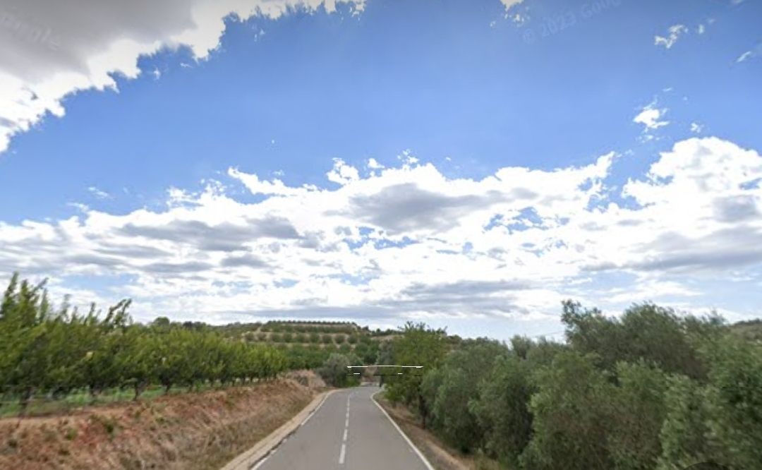 Carretera T-324 entre Benissanet i Móra d'Ebre