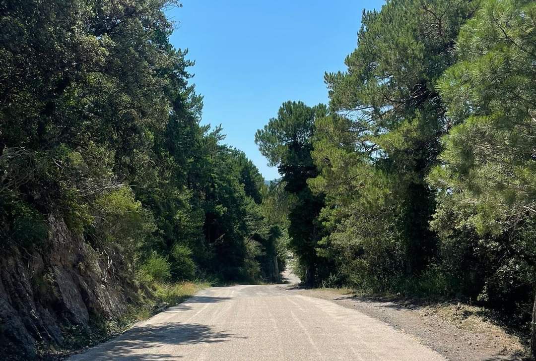 Arranjament a la carretera del Port a la zona del Mascar