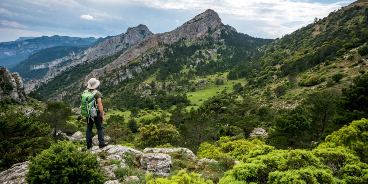 Un excursionista observa el paisatge al parc natural del Port