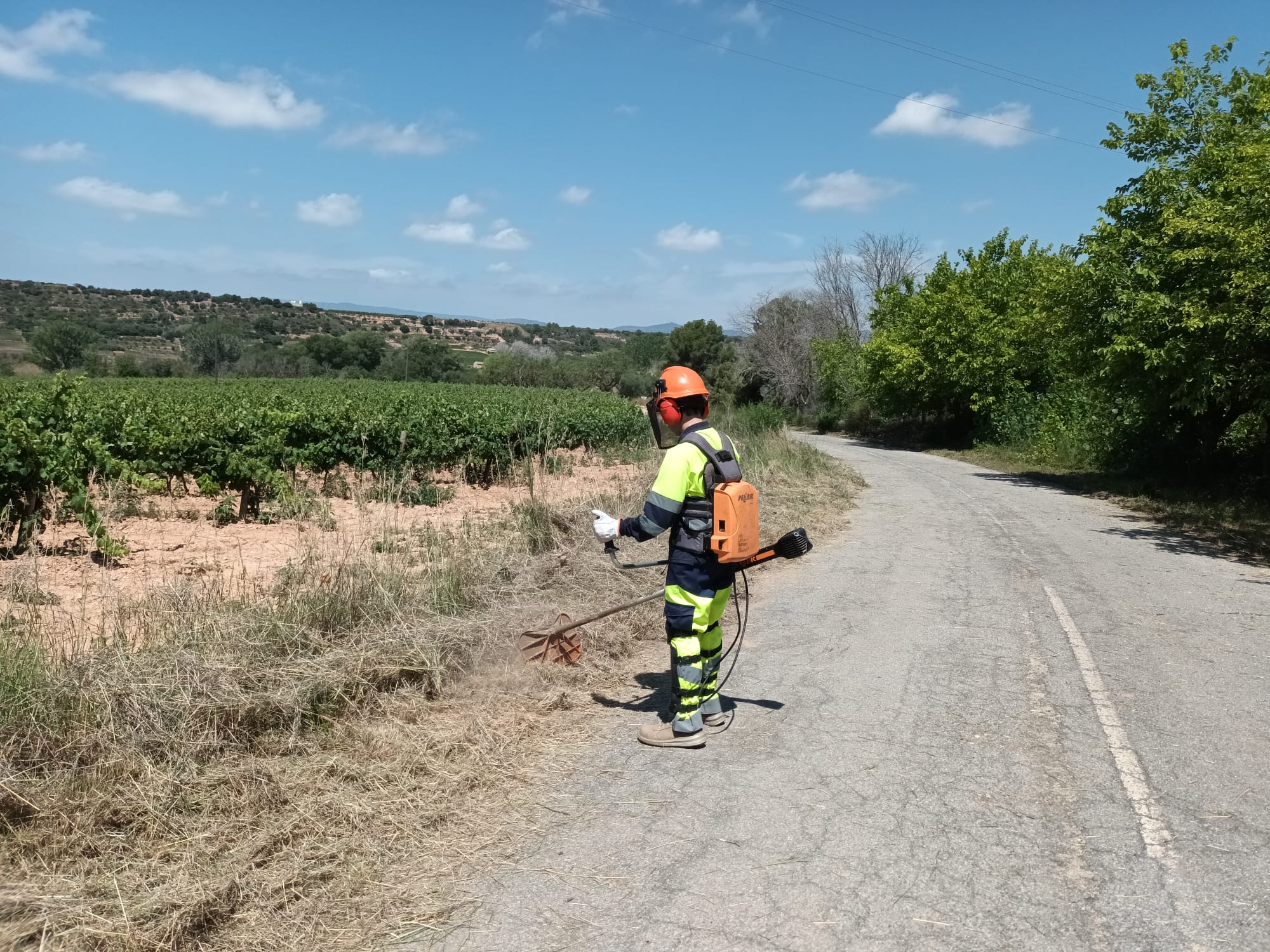 Plans d’Ocupació Comarcals de la Diputació de Tarragona 