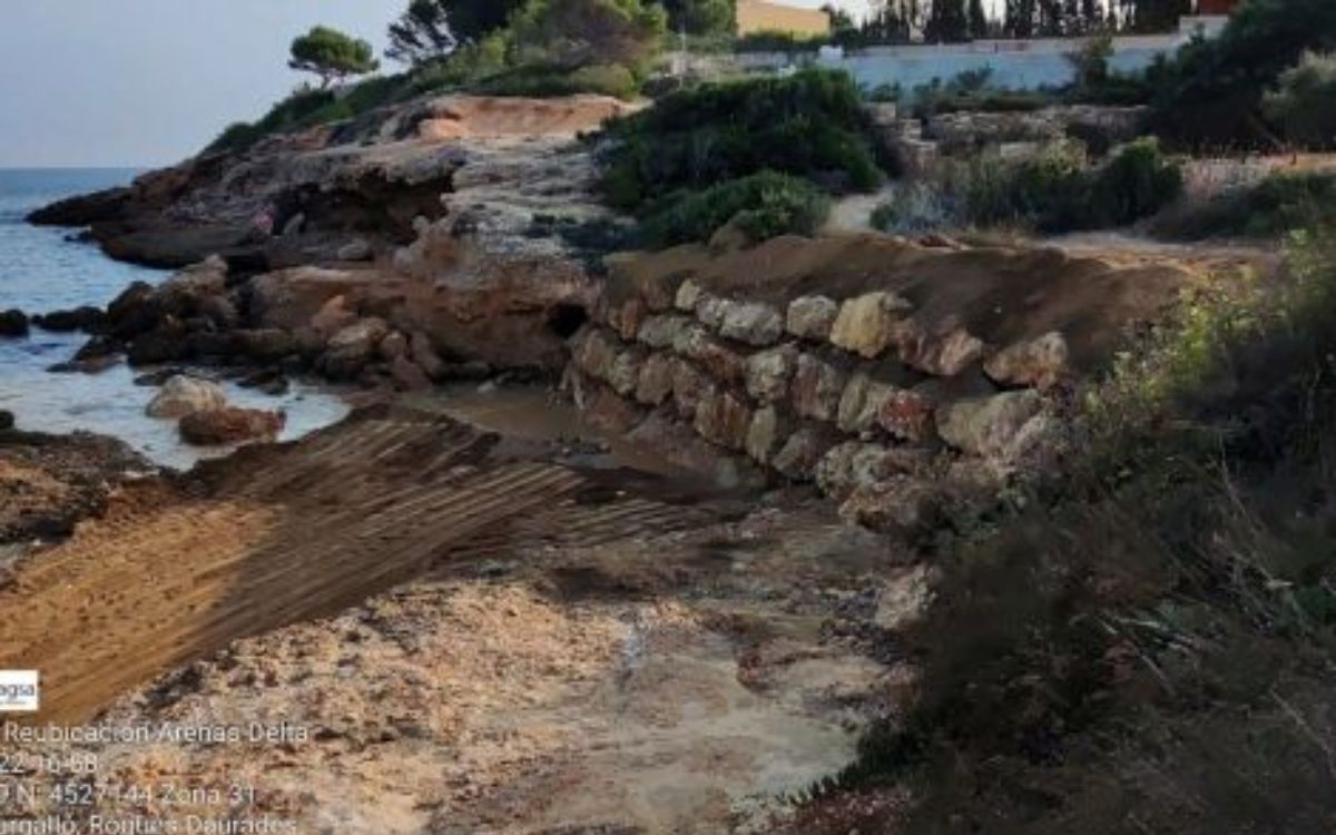 Imatge de la platja Bon Capó, on va ser trobat el gos abandonat