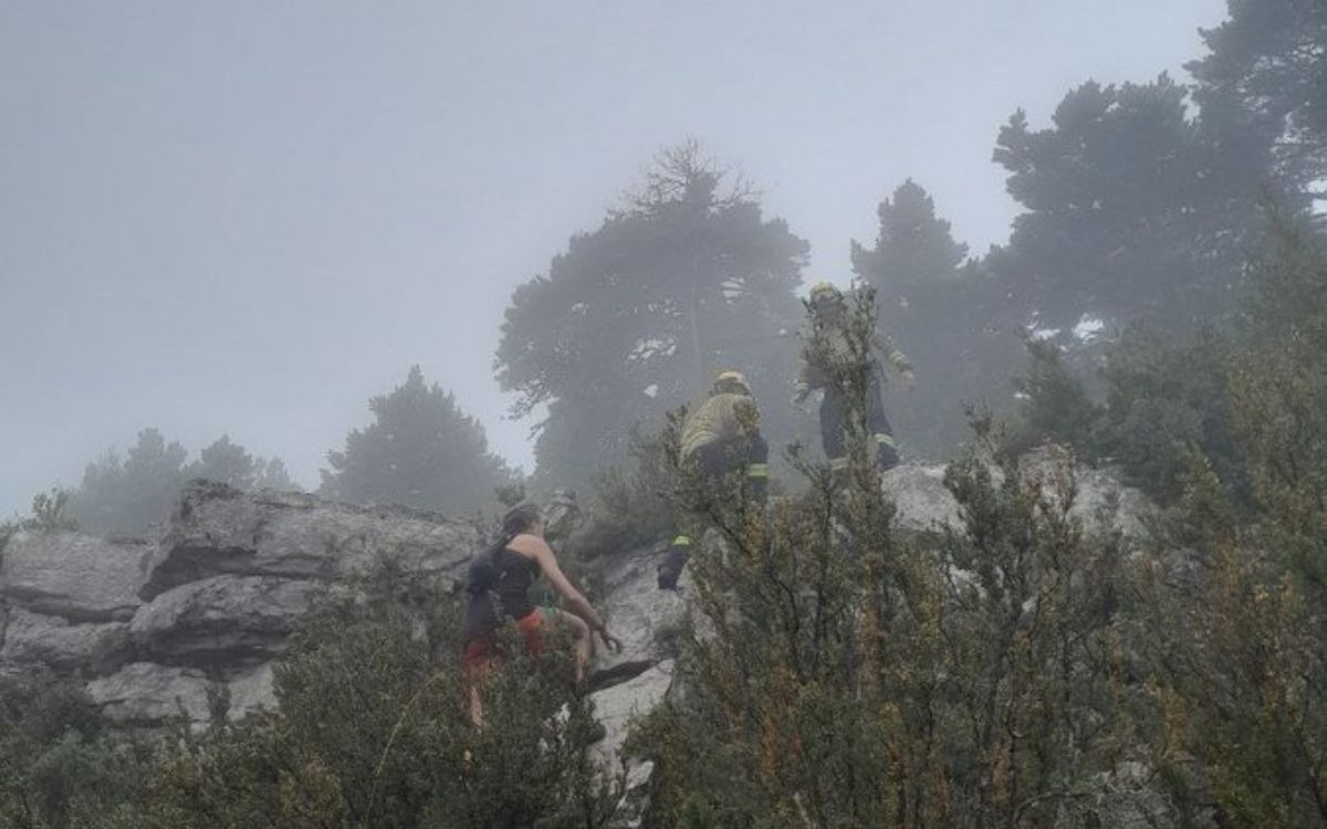 Imatge de la intervenció a Terra Alta.