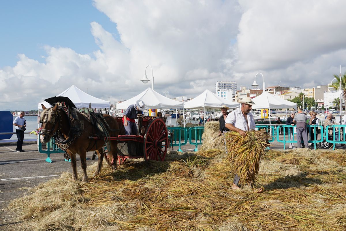 Festa de la Sega de l'Ampolla