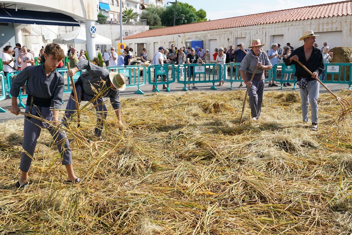 Festa de la Sega de l'Ampolla