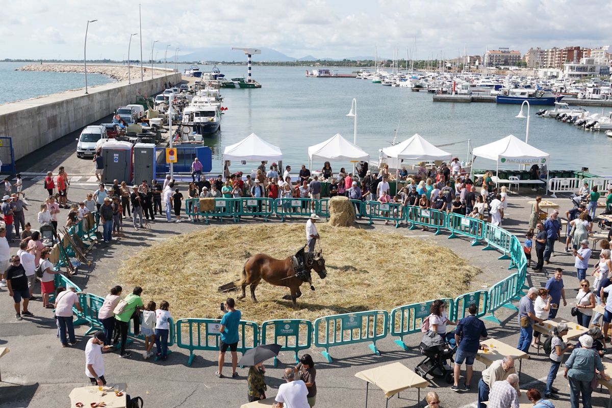 Festa de la Sega de l'Ampolla