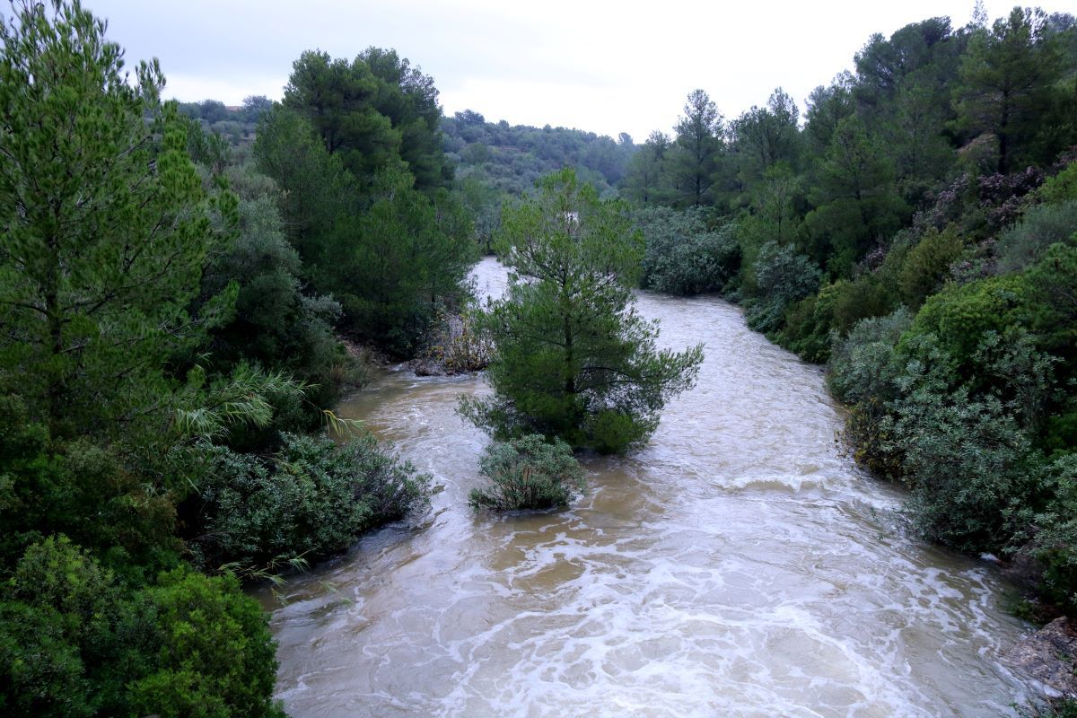 Barranc de Lloret, la setmana passada.