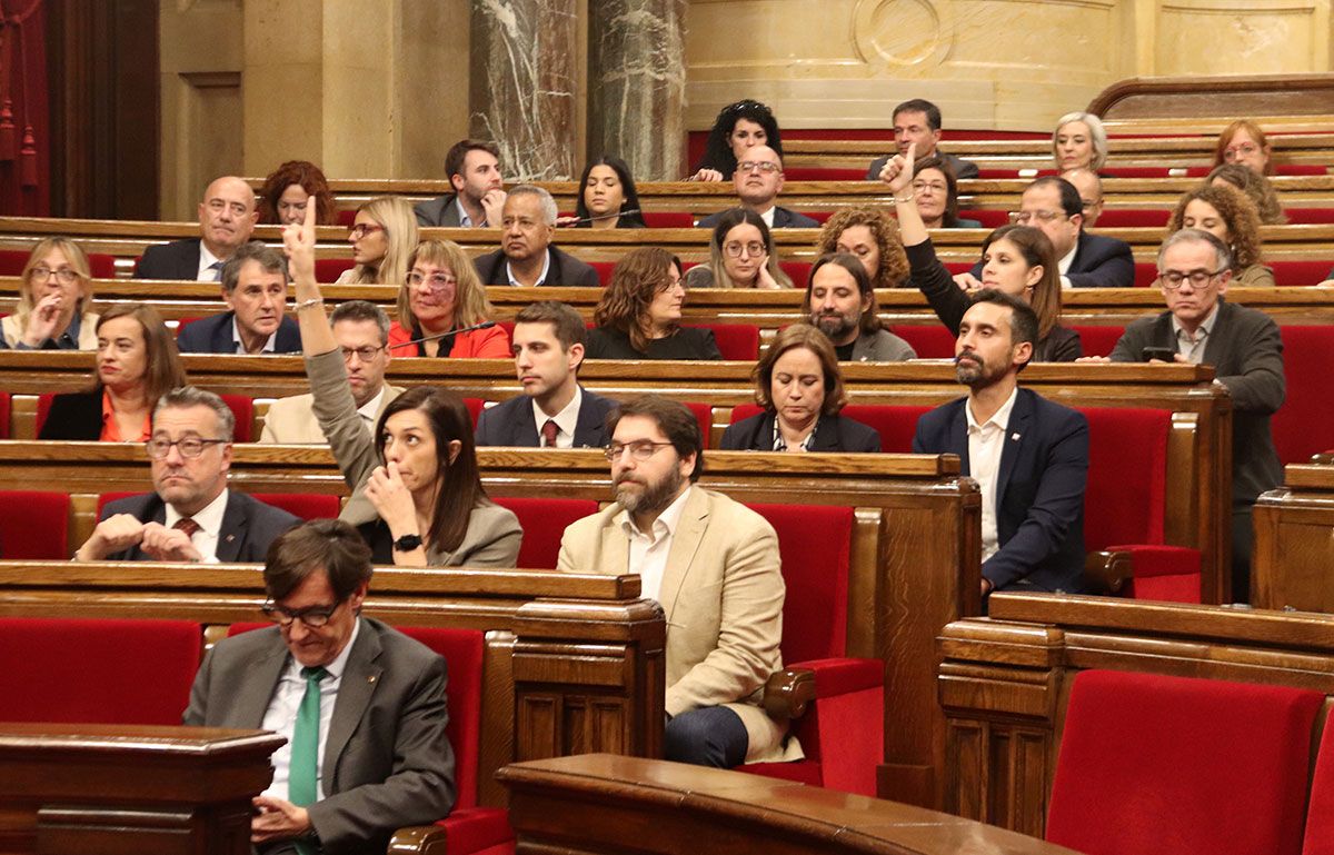 El ple del Parlament durant la votació de les mocions.