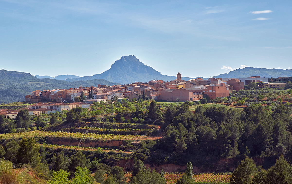 Panoràmica de Bot, amfitrió de la fira.