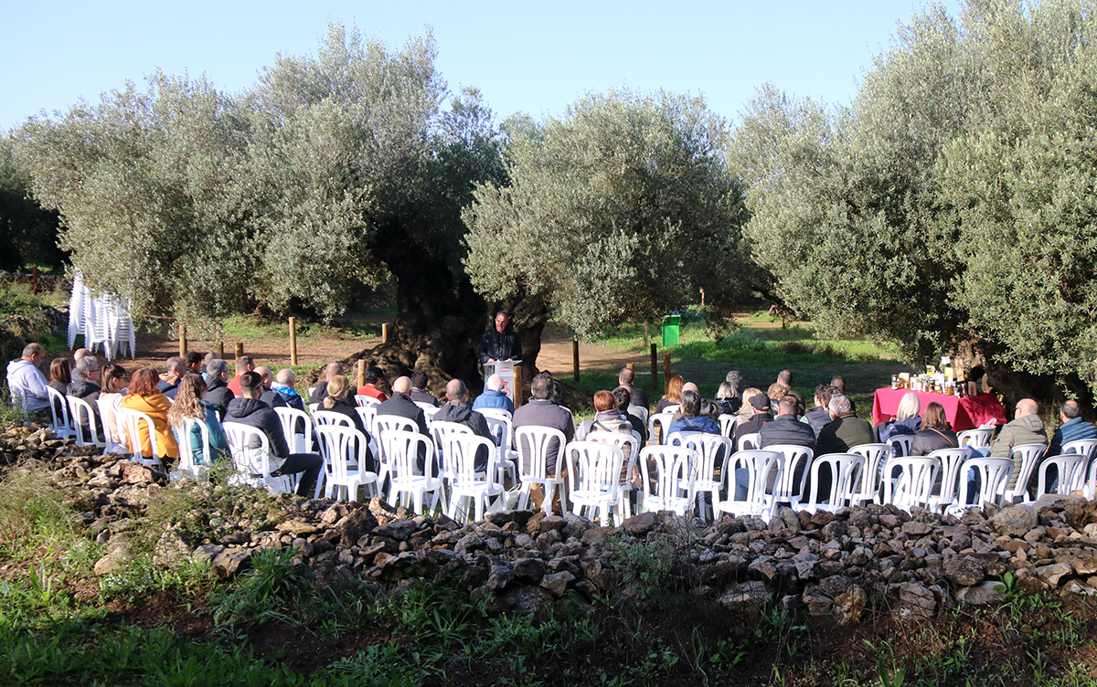 Parlaments del Congrés d'Oliveres Mil·lenàries del Territori Sénia.