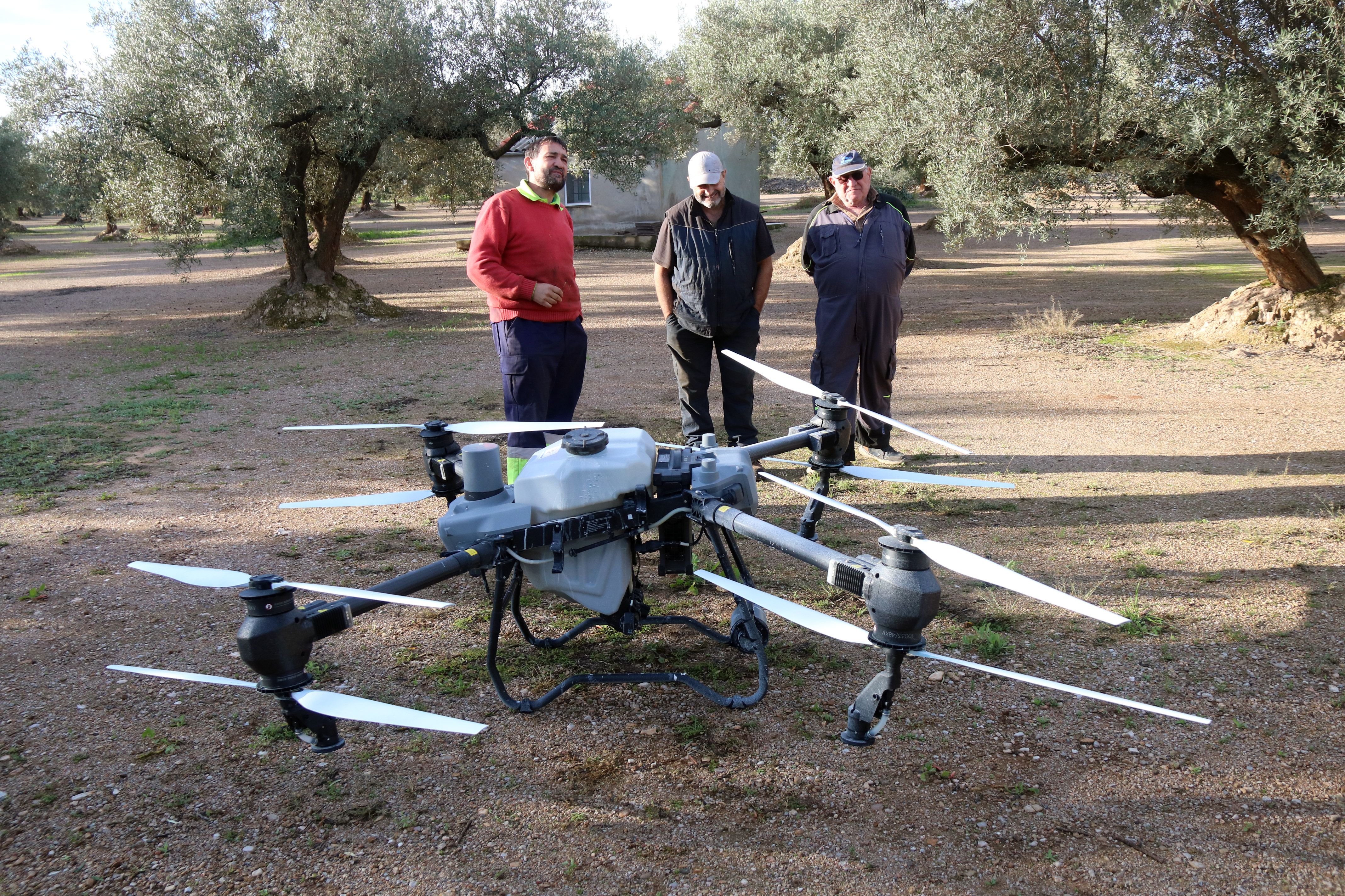 Pagesos de Santa Bàrbara observen el dron utiltizat pels tractaments de l'olivera a la finca pilot