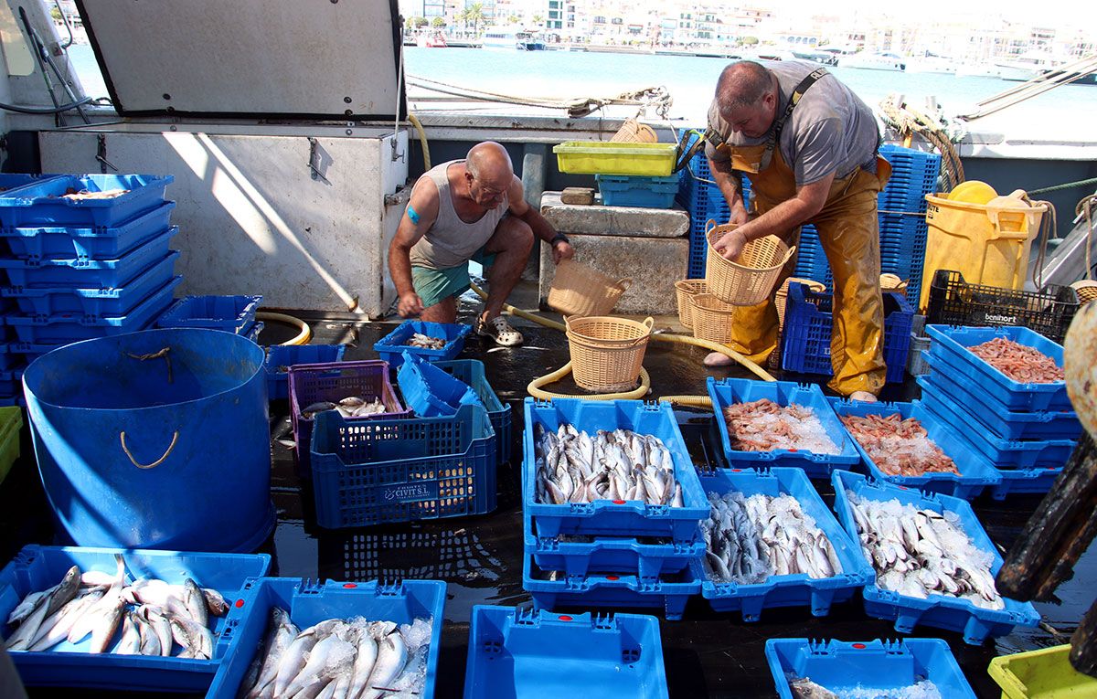 Pescadors de la costa catalana.