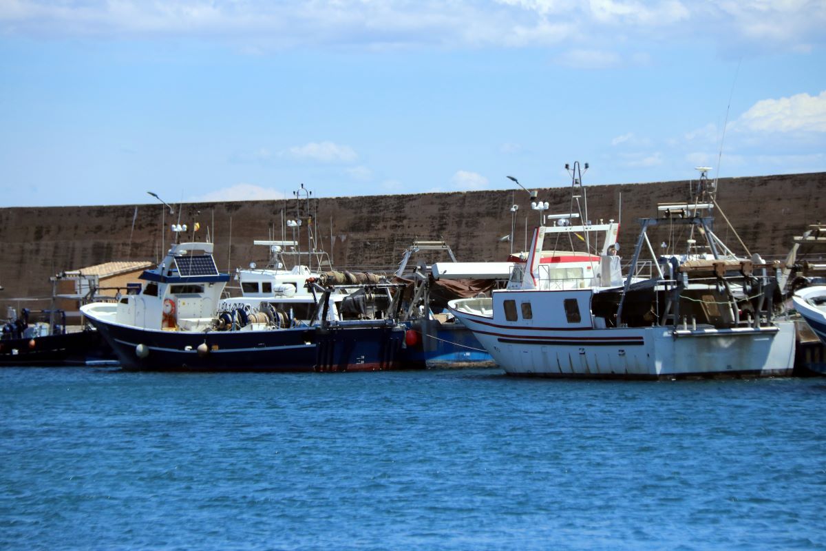 Barques de pesca d'arrossegament fondejades al moll del port pesquer de l'Ametlla de Mar amb motiu de la veda biològica   