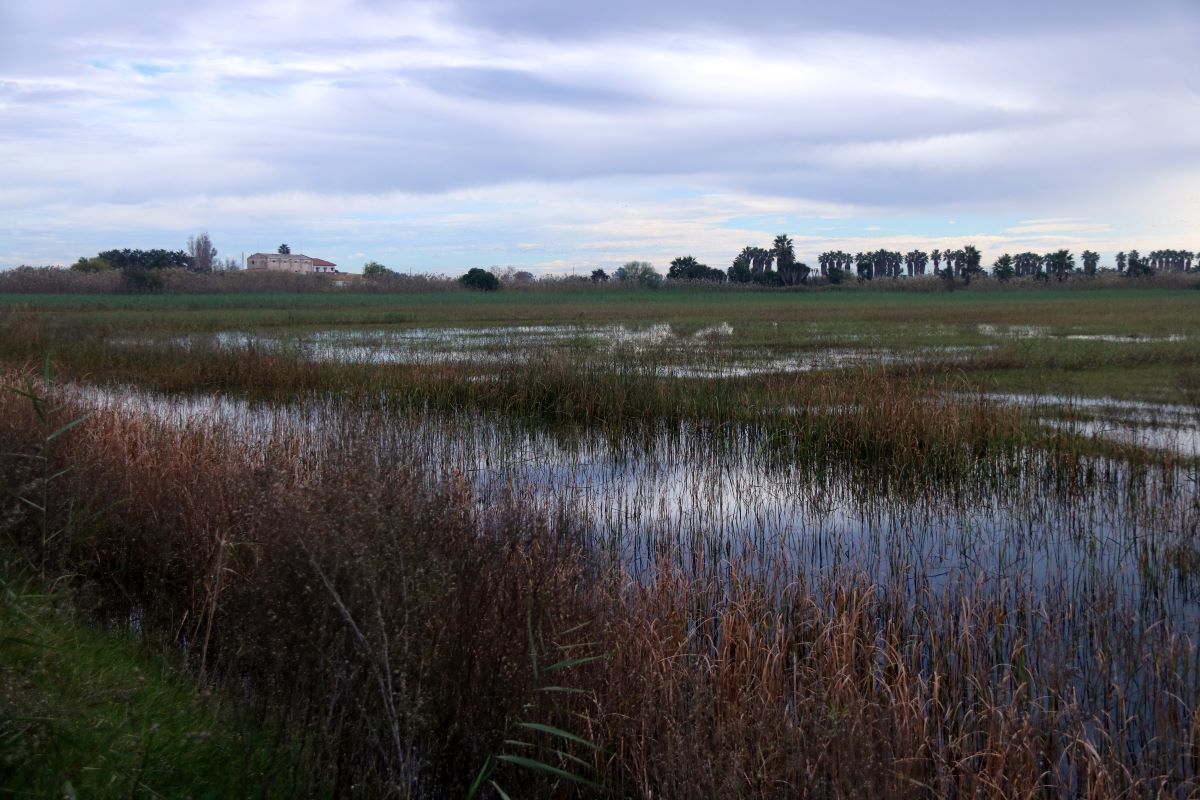 Pla general dels terrenys de la finca de Bombita, a Deltebre, que passen al domini públic maritimoterrestre