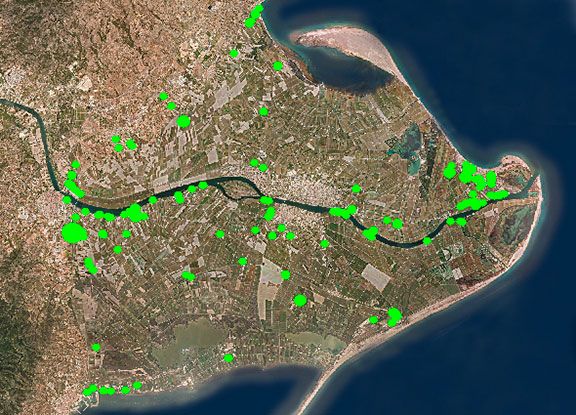 Mapa de l'actual distribució de l'espècie invasora al conjunt del Delta.