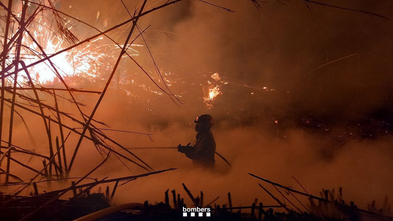 Incendi Bosc de Ribera a Campredó ( Baix Ebre)