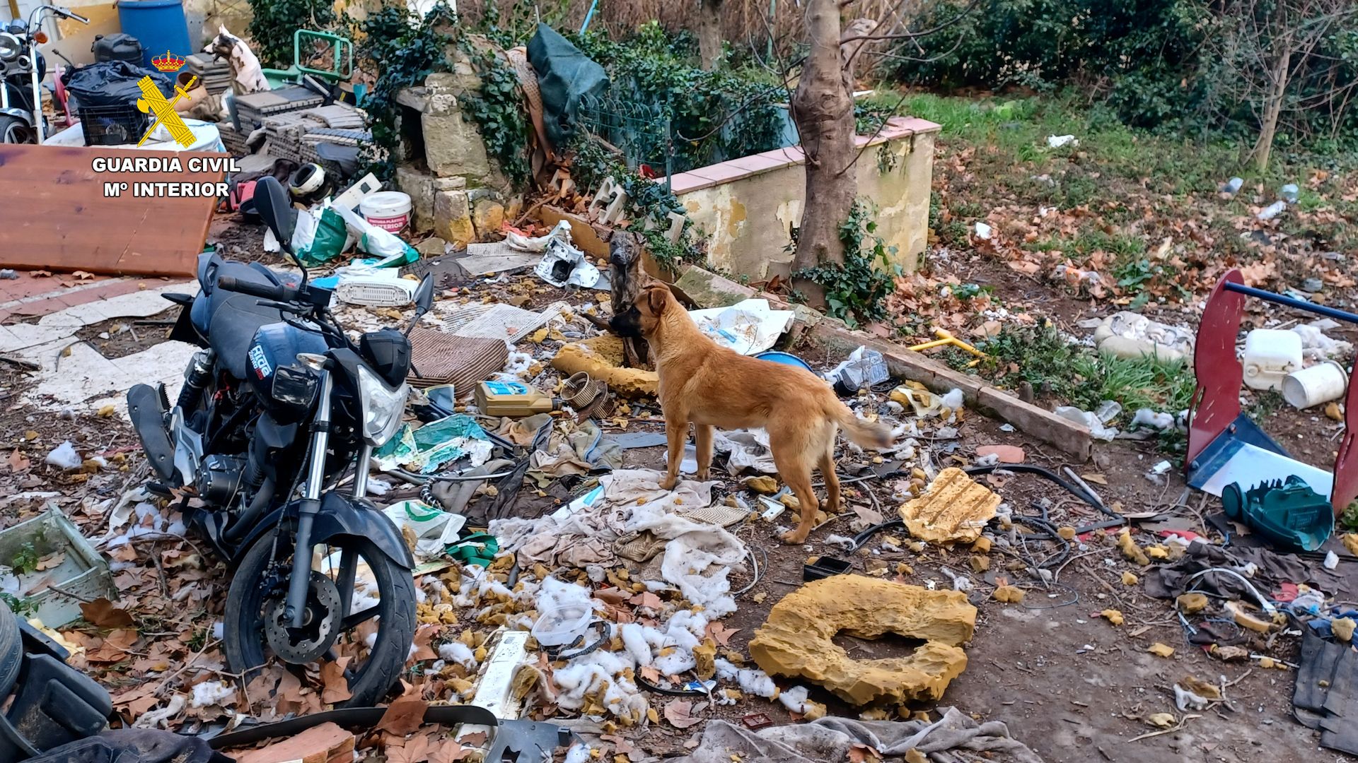 El Seprona ha rescatat diversos animals en una actuació a la demarcació de Tarragona